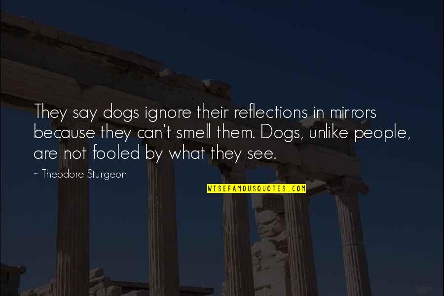 Molten Lava Cake Quotes By Theodore Sturgeon: They say dogs ignore their reflections in mirrors