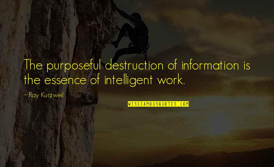 Molusko Quotes By Ray Kurzweil: The purposeful destruction of information is the essence