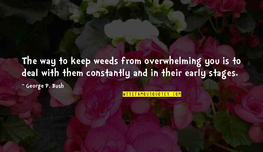 Mom And Dad In Marathi Quotes By George P. Bush: The way to keep weeds from overwhelming you