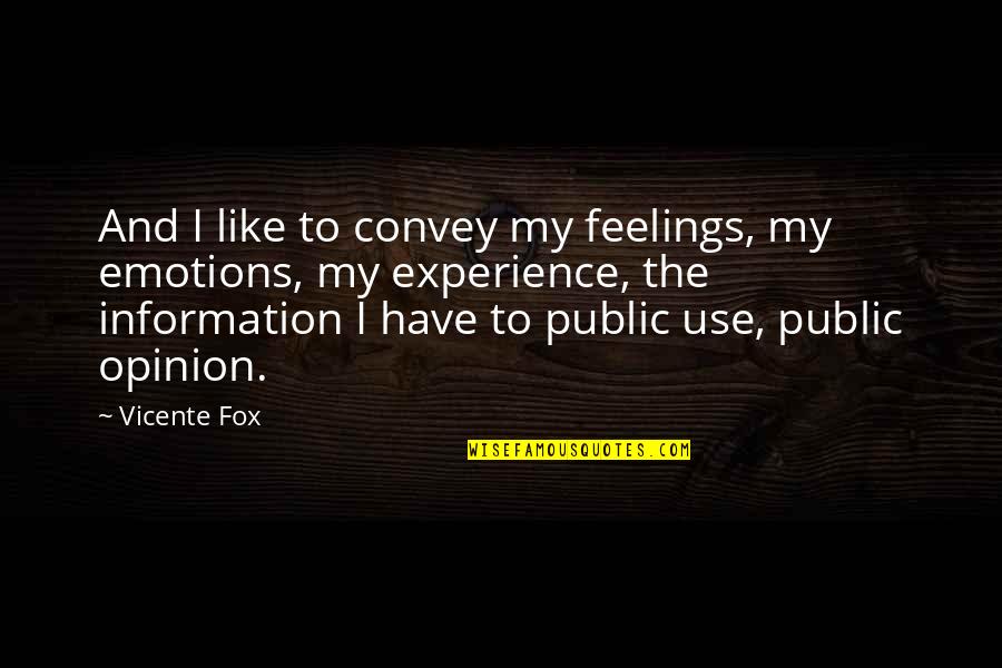 Mom And Sons Quotes By Vicente Fox: And I like to convey my feelings, my