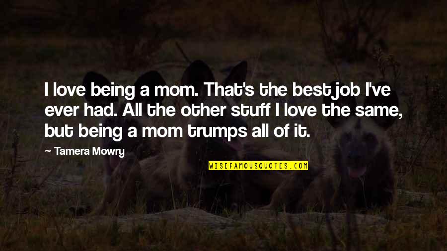 Mom Job Quotes By Tamera Mowry: I love being a mom. That's the best Mom Job Quotes By Tamera Mowry: I love being a mom. That's the best