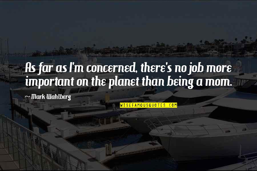 Mom Not Being There Quotes By Mark Wahlberg: As far as I'm concerned, there's no job