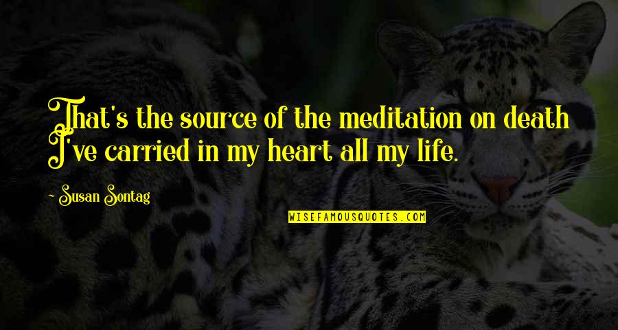 Mom To Be Short Quotes By Susan Sontag: That's the source of the meditation on death