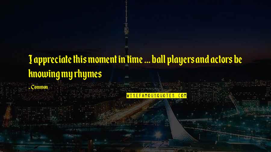 Moment And Moment Quotes By Common: I appreciate this moment in time ... ball
