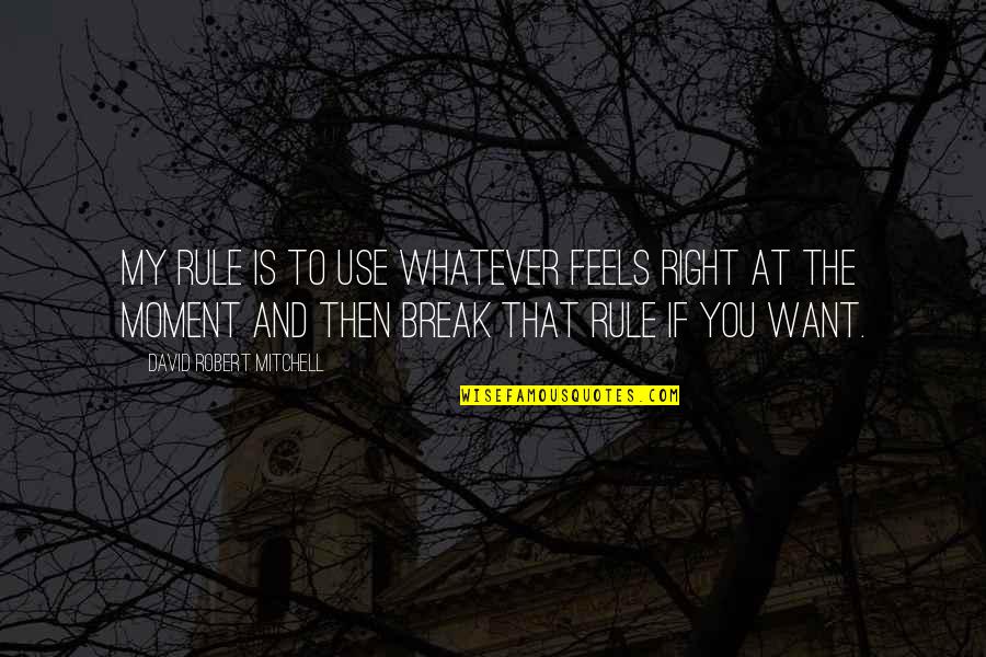 Moment And Moment Quotes By David Robert Mitchell: My rule is to use whatever feels right Moment And Moment Quotes By David Robert Mitchell: My rule is to use whatever feels right