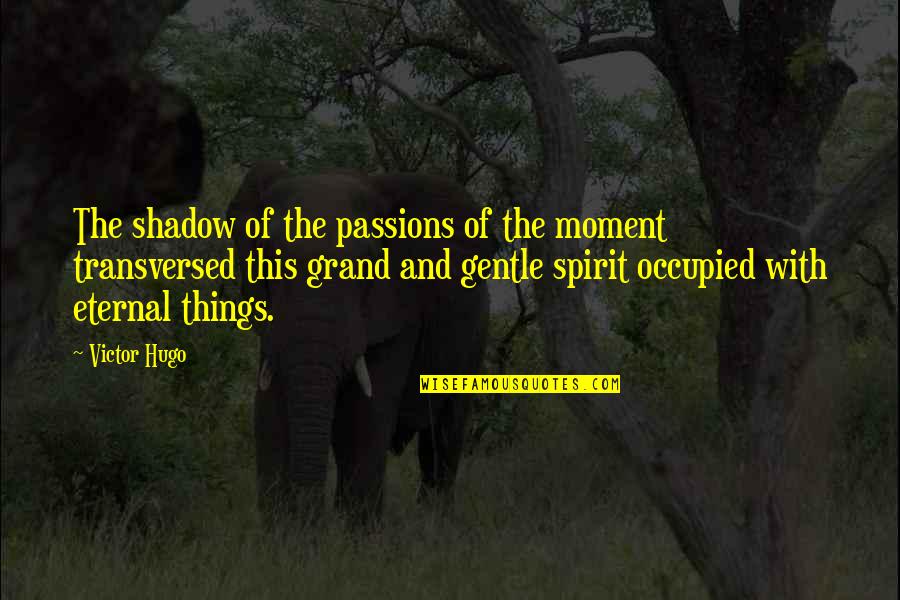 Moment And Quotes By Victor Hugo: The shadow of the passions of the moment Moment And Quotes By Victor Hugo: The shadow of the passions of the moment