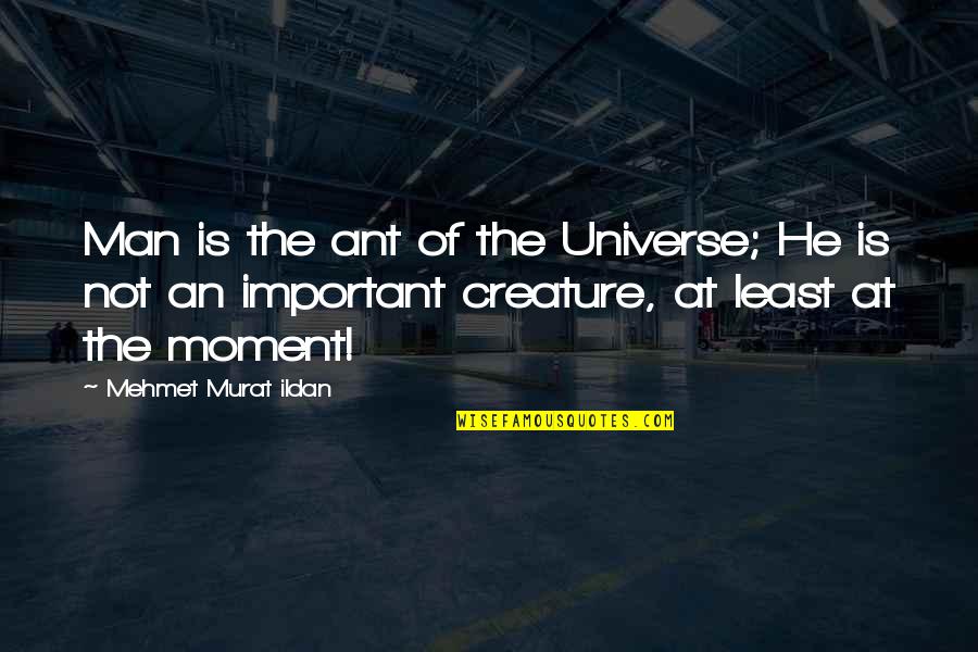 Moment Important Quotes By Mehmet Murat Ildan: Man is the ant of the Universe; He Moment Important Quotes By Mehmet Murat Ildan: Man is the ant of the Universe; He