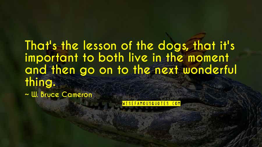 Moment Important Quotes By W. Bruce Cameron: That's the lesson of the dogs, that it's Moment Important Quotes By W. Bruce Cameron: That's the lesson of the dogs, that it's