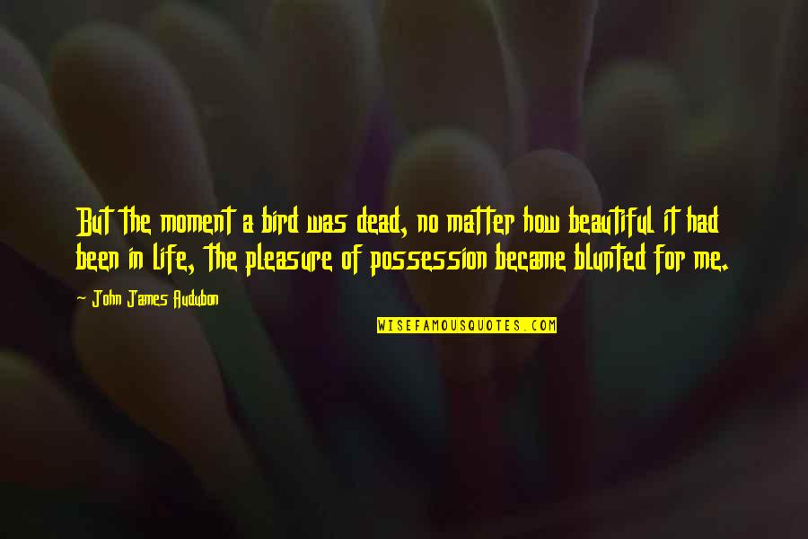 Moment In Life Quotes By John James Audubon: But the moment a bird was dead, no