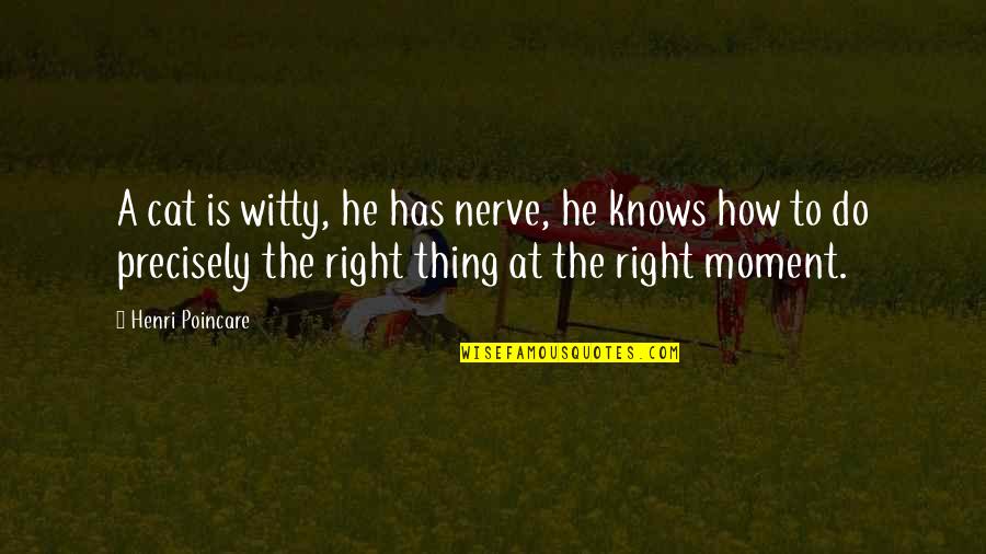 Moment Is Right Quotes By Henri Poincare: A cat is witty, he has nerve, he Moment Is Right Quotes By Henri Poincare: A cat is witty, he has nerve, he