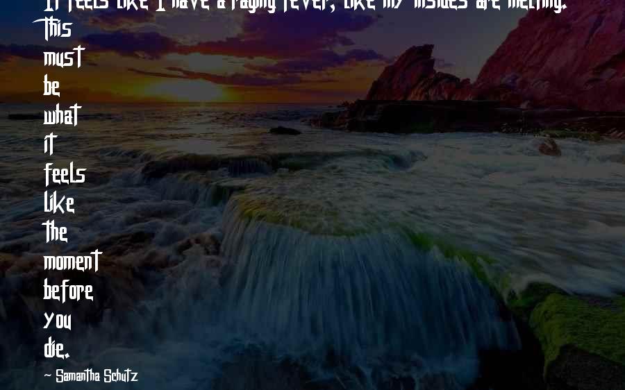 Moment Like You Quotes By Samantha Schutz: It feels like I have a raging fever, Moment Like You Quotes By Samantha Schutz: It feels like I have a raging fever,
