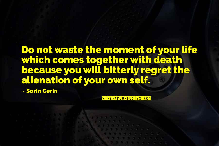 Moment Of Life Quotes By Sorin Cerin: Do not waste the moment of your life