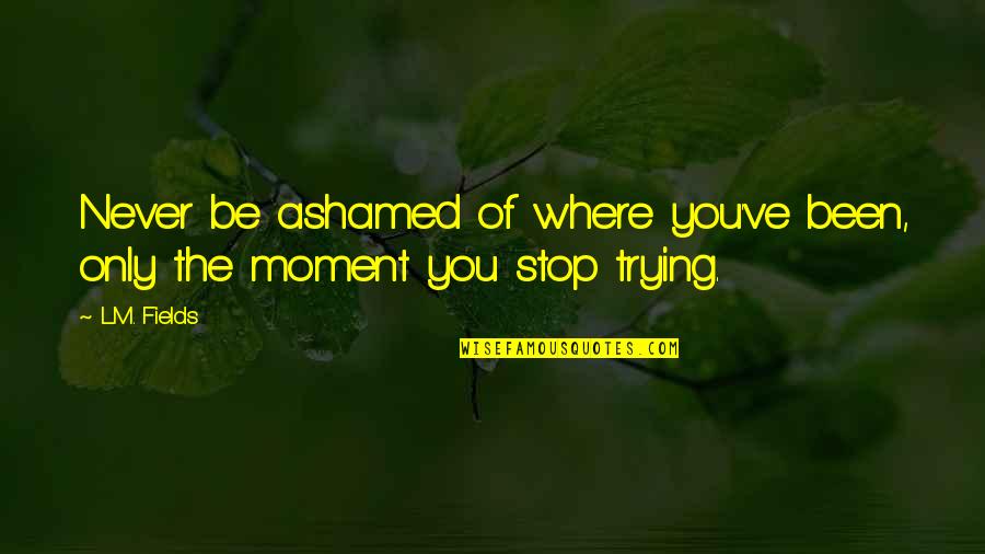 Moment Of Truth Quotes By L.M. Fields: Never be ashamed of where you've been, only