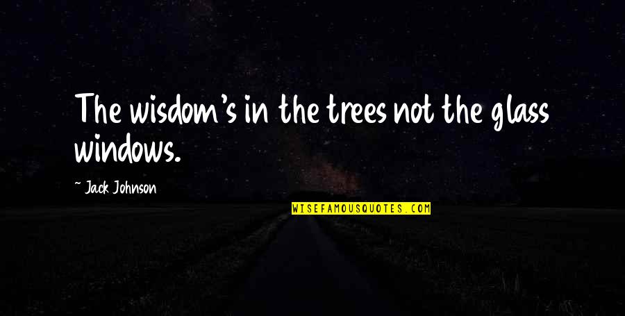 Moment One Hour Quotes By Jack Johnson: The wisdom's in the trees not the glass