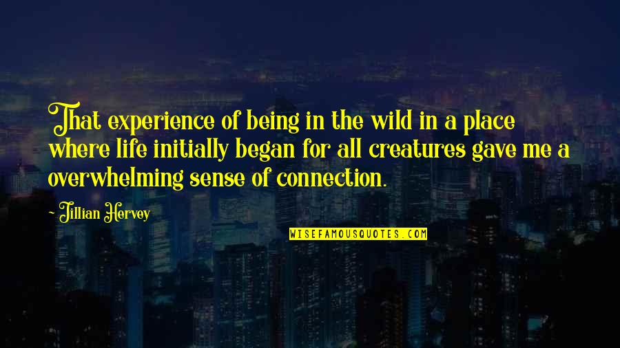 Moment You Realize You Love Someone Quotes By Jillian Hervey: That experience of being in the wild in