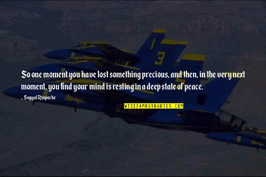 Moment Your In Quotes By Sogyal Rinpoche: So one moment you have lost something precious,