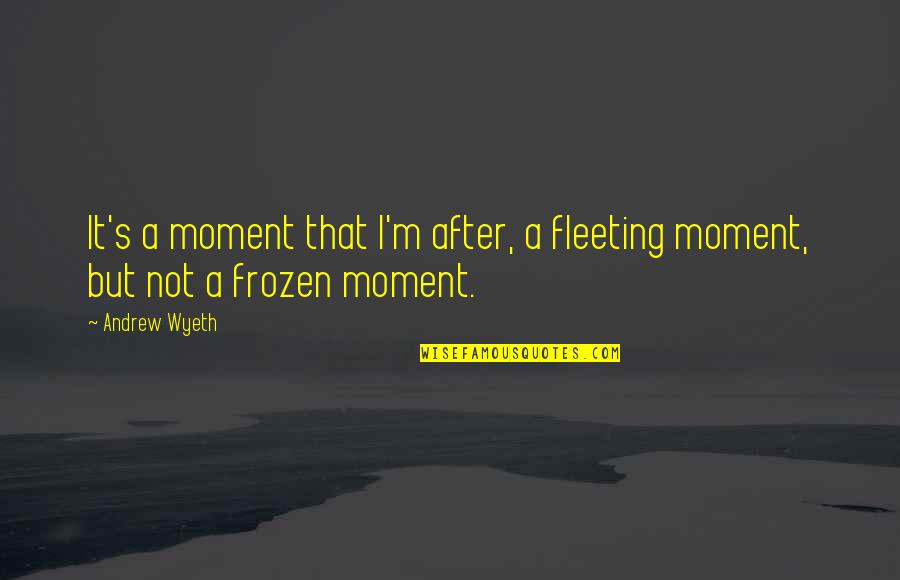 Moment'i'm Quotes By Andrew Wyeth: It's a moment that I'm after, a fleeting