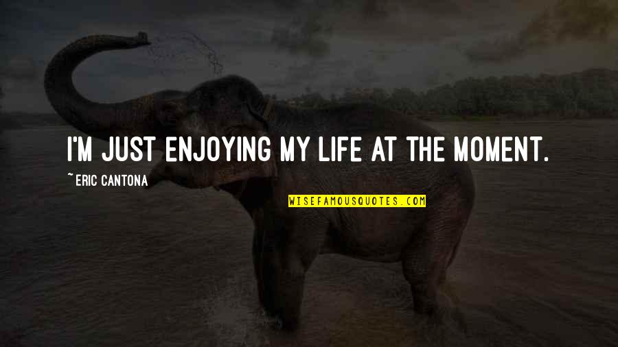 Moment'i'm Quotes By Eric Cantona: I'm just enjoying my life at the moment. Moment'i'm Quotes By Eric Cantona: I'm just enjoying my life at the moment.