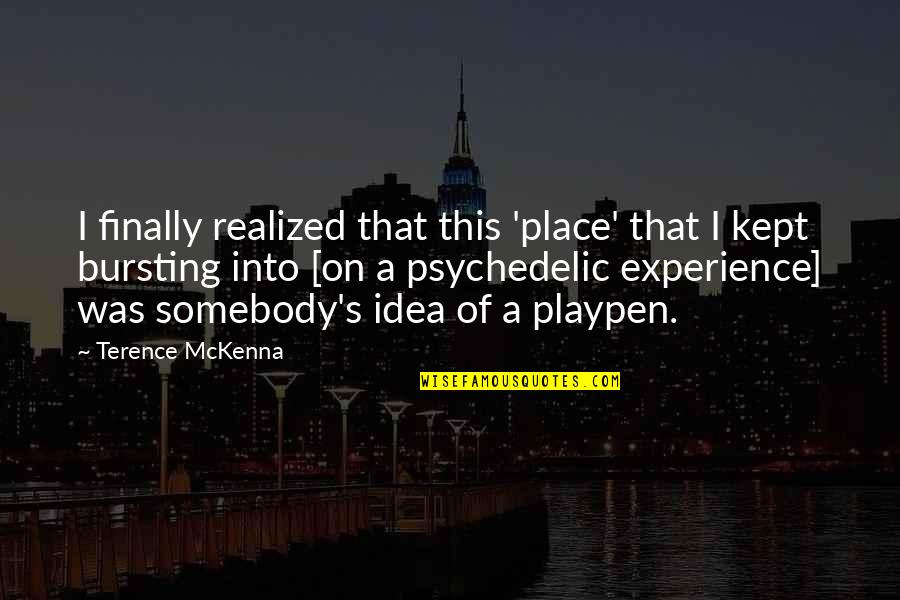 Momentous Occasions Quotes By Terence McKenna: I finally realized that this 'place' that I