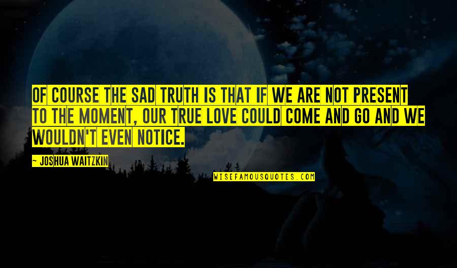 Moments And Love Quotes By Joshua Waitzkin: Of course the sad truth is that if