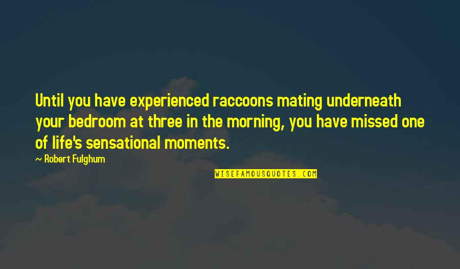Moments Missed Quotes By Robert Fulghum: Until you have experienced raccoons mating underneath your