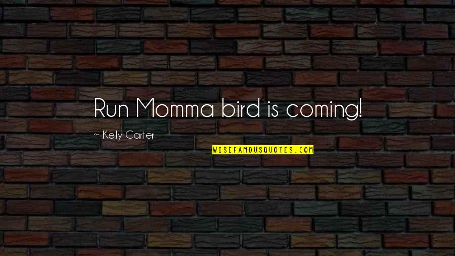 Momma Quotes By Kelly Carter: Run Momma bird is coming!
