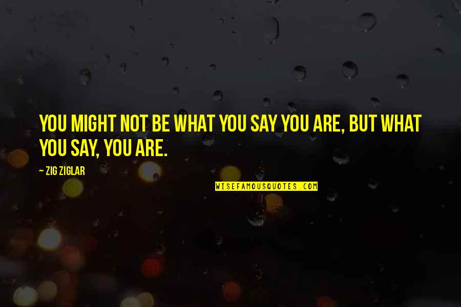 Mommy And Baby Quotes By Zig Ziglar: You might not be what you say you