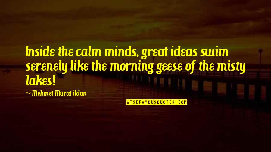 Moms Knowing Everything Quotes By Mehmet Murat Ildan: Inside the calm minds, great ideas swim serenely