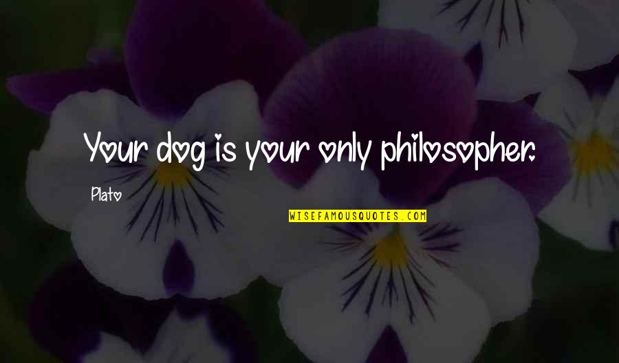 Moms Raising Sons Quotes By Plato: Your dog is your only philosopher.