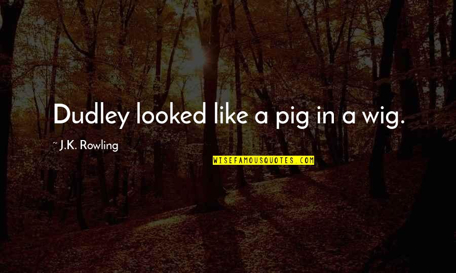 Monacalla Quotes By J.K. Rowling: Dudley looked like a pig in a wig. Monacalla Quotes By J.K. Rowling: Dudley looked like a pig in a wig.