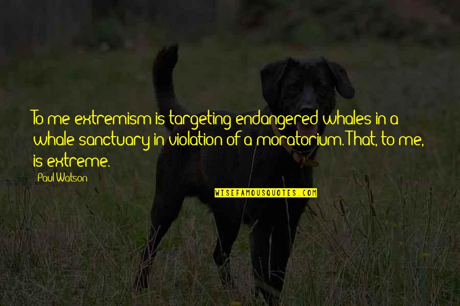 Monaghans Rvc Quotes By Paul Watson: To me extremism is targeting endangered whales in Monaghans Rvc Quotes By Paul Watson: To me extremism is targeting endangered whales in