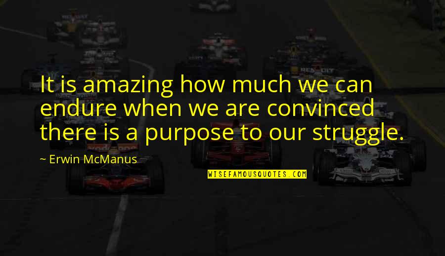 Monami Takarada Quotes By Erwin McManus: It is amazing how much we can endure Monami Takarada Quotes By Erwin McManus: It is amazing how much we can endure