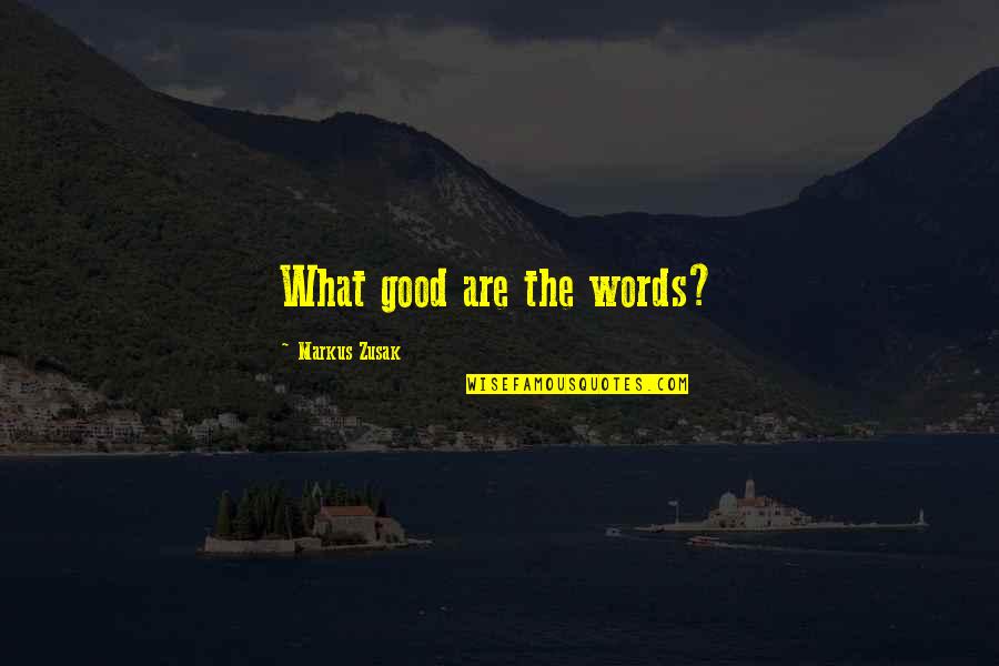 Monari Federzoni Quotes By Markus Zusak: What good are the words?