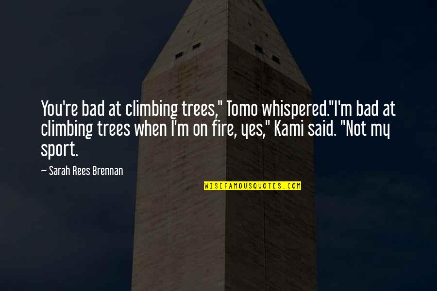 Monaro For Sale Quotes By Sarah Rees Brennan: You're bad at climbing trees," Tomo whispered."I'm bad Monaro For Sale Quotes By Sarah Rees Brennan: You're bad at climbing trees," Tomo whispered."I'm bad
