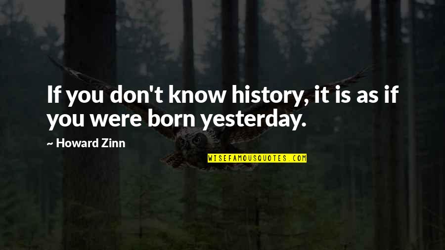 Monats Skin Quotes By Howard Zinn: If you don't know history, it is as