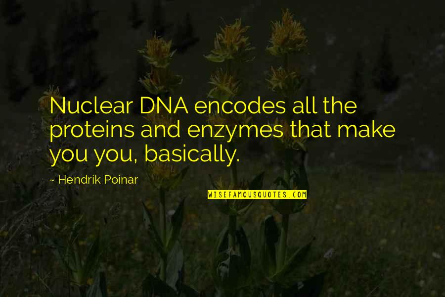 Moncuit Quotes By Hendrik Poinar: Nuclear DNA encodes all the proteins and enzymes