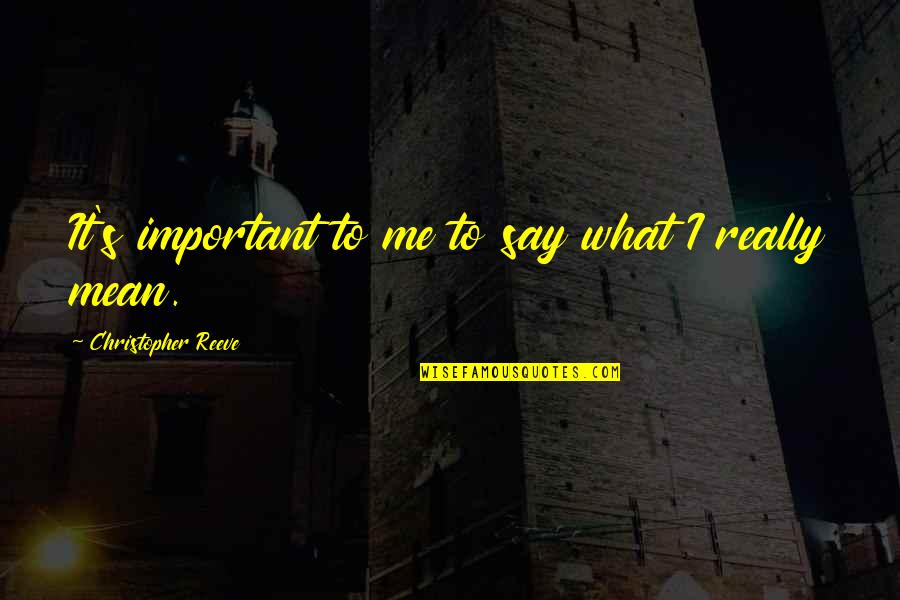 Monday Acronym For Work Quotes By Christopher Reeve: It's important to me to say what I Monday Acronym For Work Quotes By Christopher Reeve: It's important to me to say what I