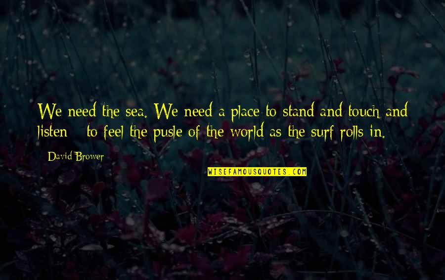 Monday At Work Quotes By David Brower: We need the sea. We need a place