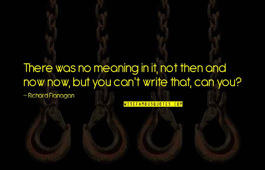 Mondriaan Heerlen Quotes By Richard Flanagan: There was no meaning in it, not then Mondriaan Heerlen Quotes By Richard Flanagan: There was no meaning in it, not then