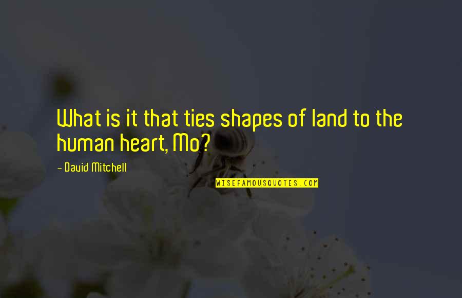 Mo'ne Quotes By David Mitchell: What is it that ties shapes of land Mo'ne Quotes By David Mitchell: What is it that ties shapes of land