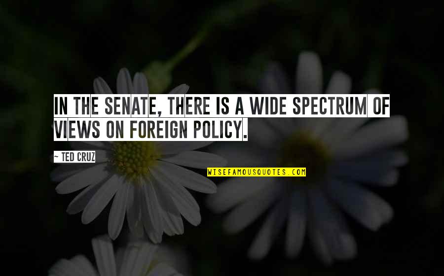 Moneen Mcbride Quotes By Ted Cruz: In the Senate, there is a wide spectrum