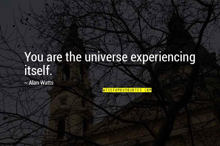 Moneer Hanna Quotes By Alan Watts: You are the universe experiencing itself. Moneer Hanna Quotes By Alan Watts: You are the universe experiencing itself.
