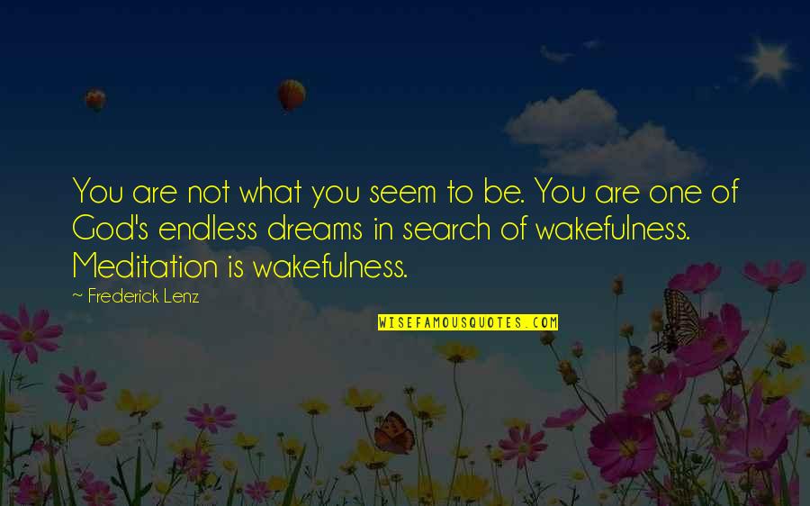Monemvasia Quotes By Frederick Lenz: You are not what you seem to be.