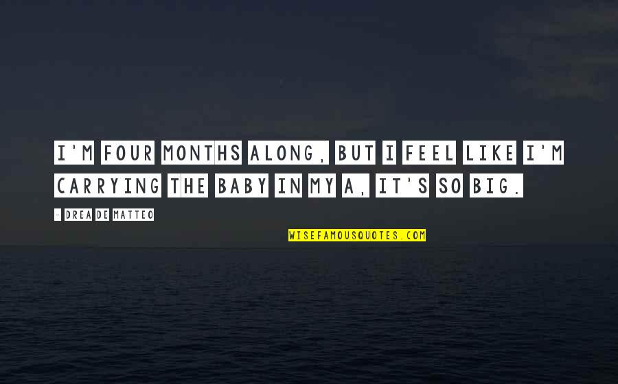 Monetarists Can Be Described Quotes By Drea De Matteo: I'm four months along, but I feel like