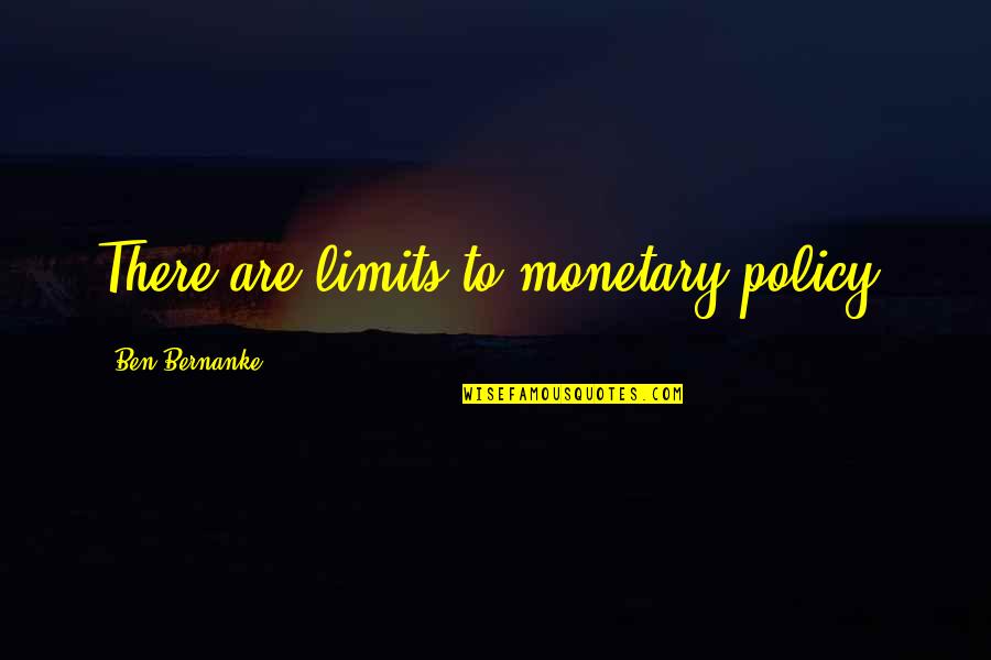 Monetary Policy Quotes By Ben Bernanke: There are limits to monetary policy.