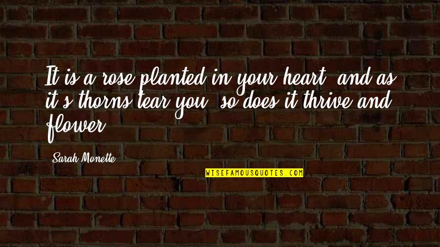 Monette Quotes By Sarah Monette: It is a rose planted in your heart,