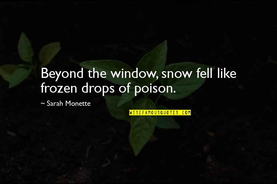 Monette Quotes By Sarah Monette: Beyond the window, snow fell like frozen drops