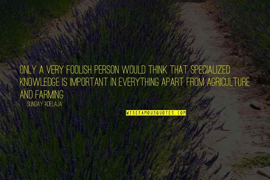 Money And Knowledge Quotes By Sunday Adelaja: Only a very foolish person would think that