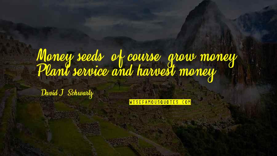 Money As You Grow Quotes By David J. Schwartz: Money seeds, of course, grow money. Plant service