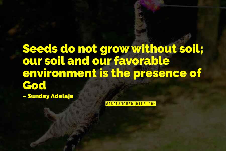 Money As You Grow Quotes By Sunday Adelaja: Seeds do not grow without soil; our soil